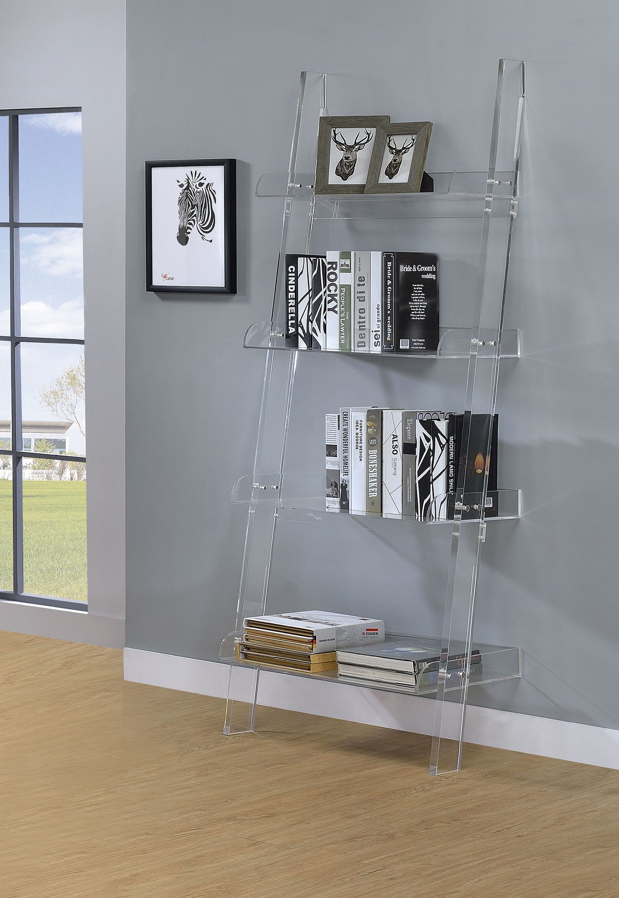 Amaturo 72-Inch 4-Shelf Clear Acrylic Ladder Bookshelf