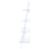 Amaturo 72-Inch 4-Shelf Clear Acrylic Ladder Bookshelf