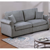 Contemporary 2 Piece Sofa Set With Matching Pillows