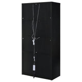 Shayne - 4 Door Display Cabinet With LED Lighting - Black