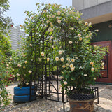 Garden Arch With Gate Climbing Plants Support Outdoor - Black