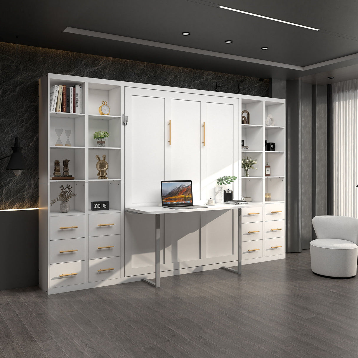 Multifunctional Vertical Murphy Wall Bed