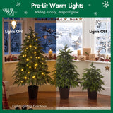 3 Piece Pre Lit Christmas Tree Set With Warm Glowing LED Lights, Sturdy Potted Base, Full Cascading Branches - Green