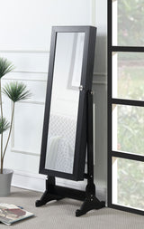 Tutuola Cheval Mirror with Jewelry Storage - Black