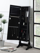 Tutuola Cheval Mirror with Jewelry Storage - Black