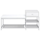 Siega 1-Drawer Shoe Storage Bench, White High Gloss and Chrome
