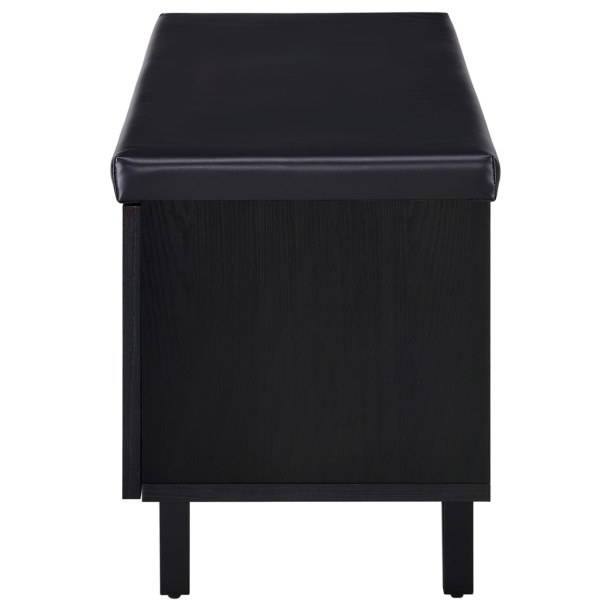 Brixton Black Faux Leather 2-Door Shoe Storage Bench