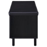 Brixton Black Faux Leather 2-Door Shoe Storage Bench