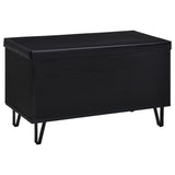 Brixton Black Faux Leather 2-Door Shoe Storage Bench