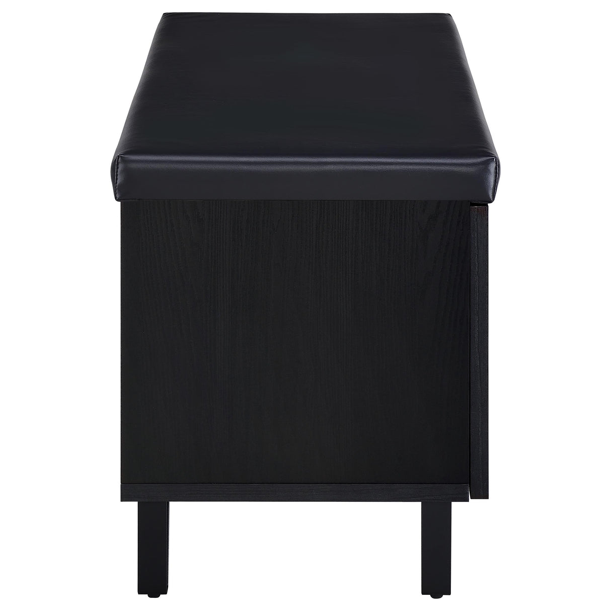 Brixton Black Faux Leather 2-Door Shoe Storage Bench