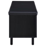 Brixton Black Faux Leather 2-Door Shoe Storage Bench