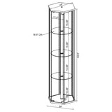 Zahavah Hexagonal 4-Shelf Glass Curio Cabinet in Black