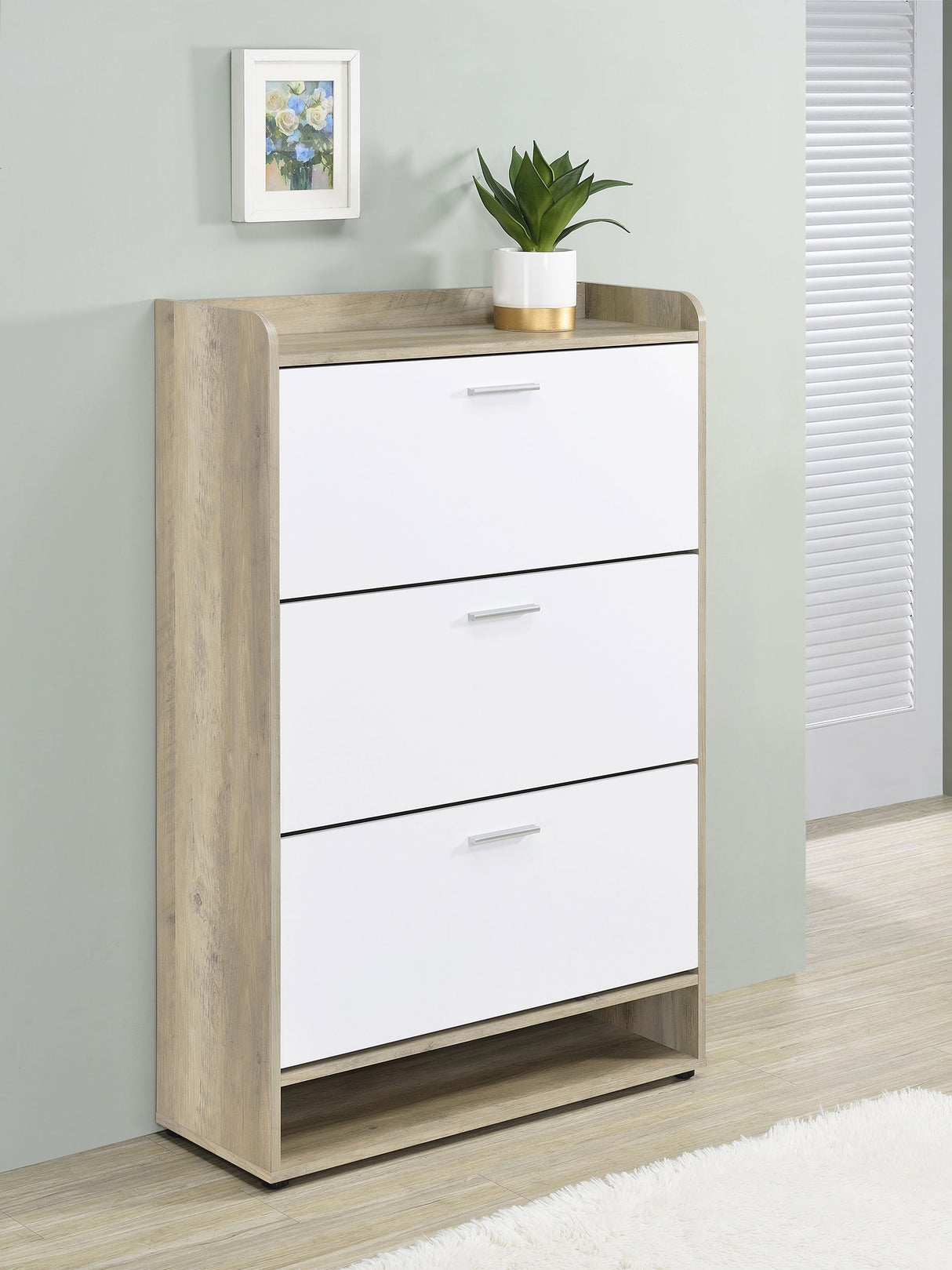 Denia 3-Tier Engineered Wood Shoe Cabinet in White