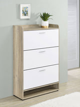 Denia 3-Tier Engineered Wood Shoe Cabinet in White