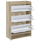Denia 3-Tier Engineered Wood Shoe Cabinet in White