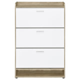 Denia 3-Tier Engineered Wood Shoe Cabinet in White
