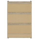 Denia 3-Tier Engineered Wood Shoe Cabinet in White
