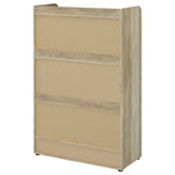 Denia 3-Tier Engineered Wood Shoe Cabinet in White