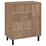 Teller 2-Door Shoe Storage Cabinet in Natural Oak