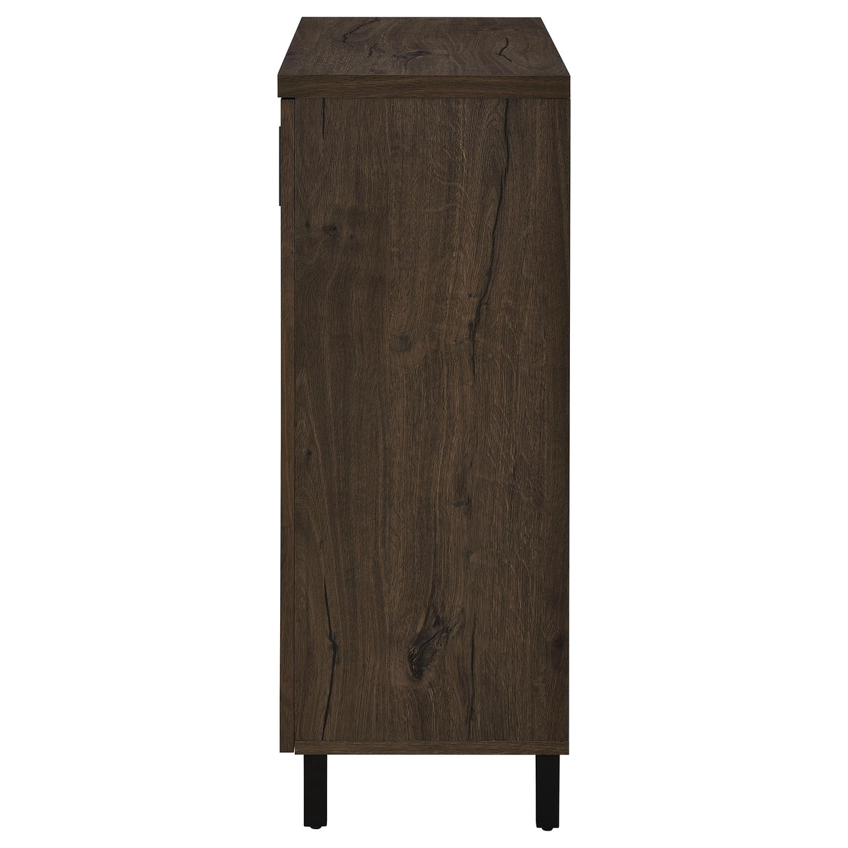 Brixton 2-Door Shoe Storage Cabinet in Smoked Oak