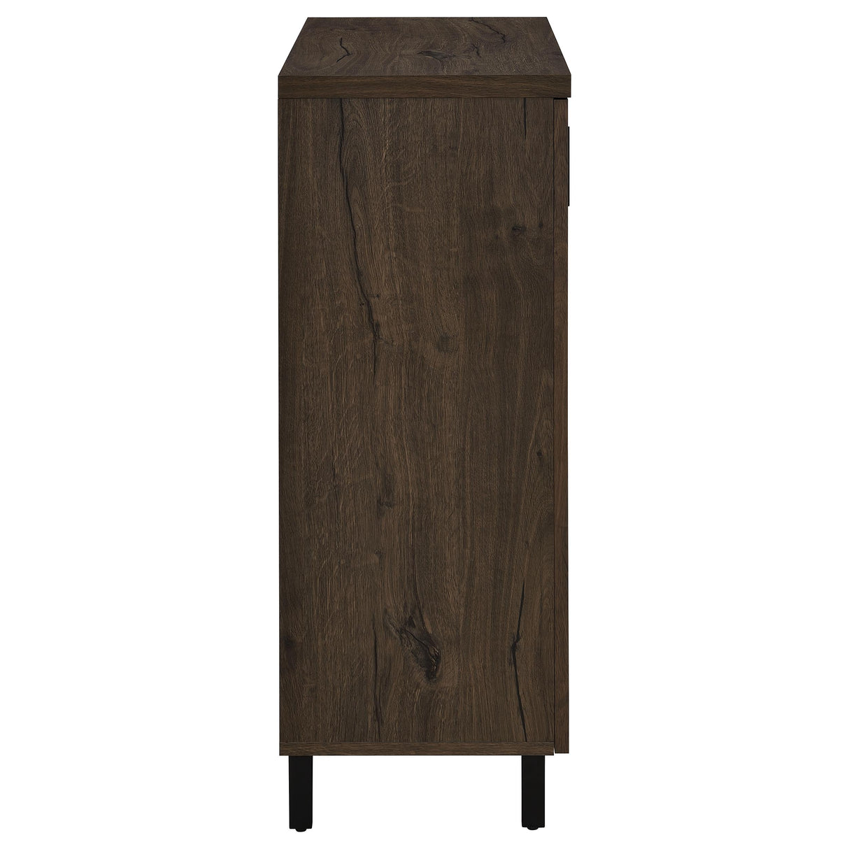 Brixton 2-Door Shoe Storage Cabinet in Smoked Oak