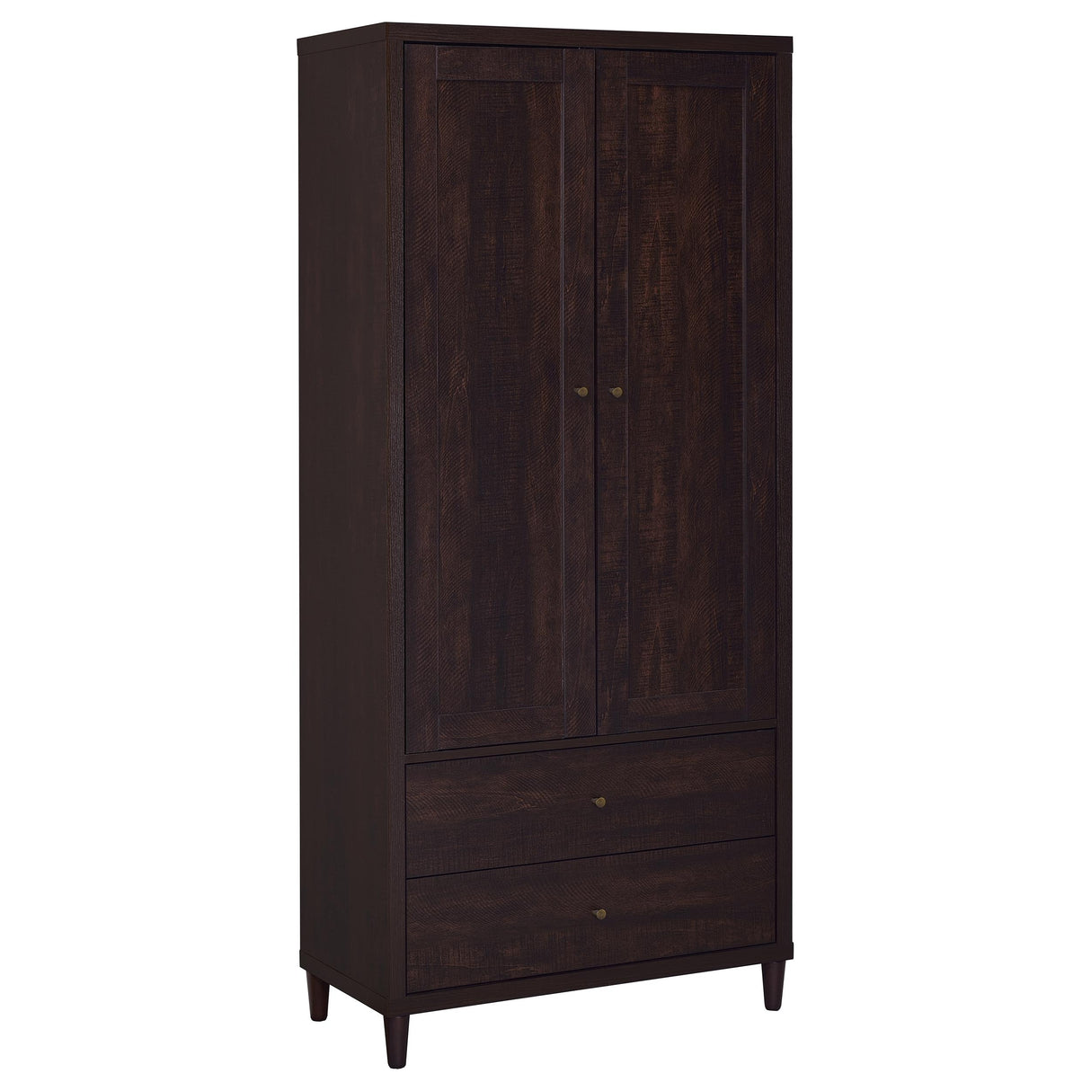 Wadeline 2-Door Tall Accent Storage Cabinet, Rustic Tobacco