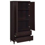 Wadeline 2-Door Tall Accent Storage Cabinet, Rustic Tobacco