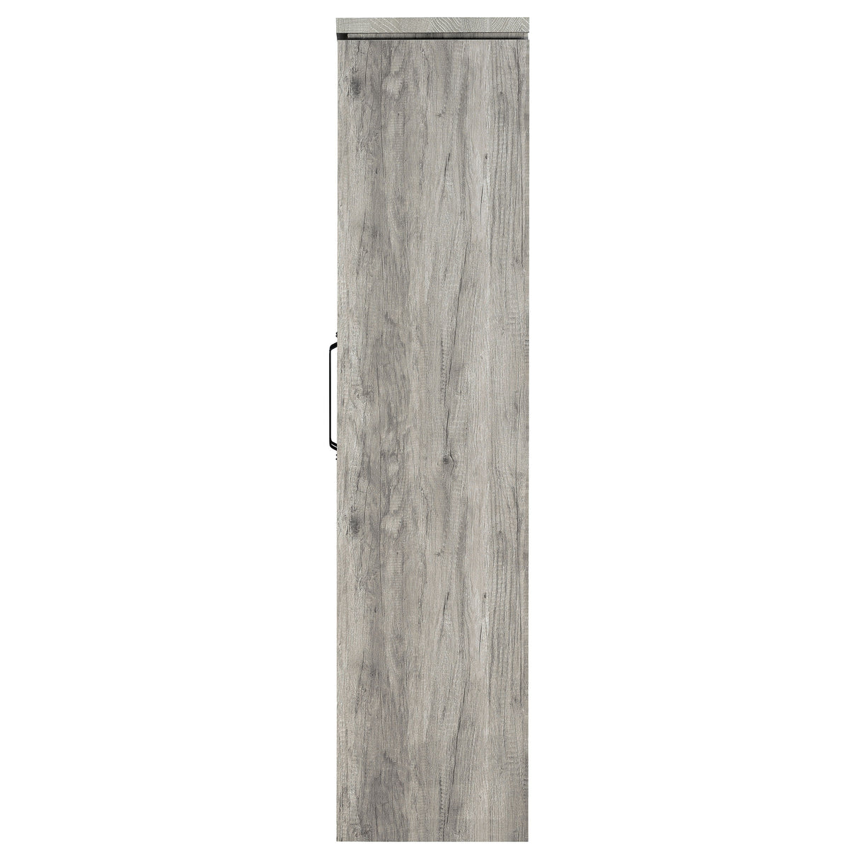 Alejo 2-Door Tall Cabinet in Grey Driftwood