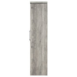 Alejo 2-Door Tall Cabinet in Grey Driftwood