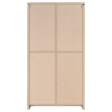 Alejo 2-Door Tall Cabinet in Grey Driftwood