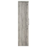 Alejo 2-Door Tall Cabinet in Grey Driftwood