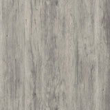 Alejo 2-Door Tall Cabinet in Grey Driftwood