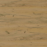 Bristol 6-Shelf Shoe Cabinet in Golden Oak Engineered Wood
