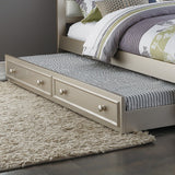 Contemporary Style Bed With Trundle