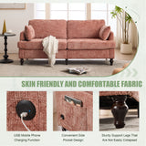 Chenille 2 Seater Sofa With LED Light, USB Charging Port, And Storage Bag