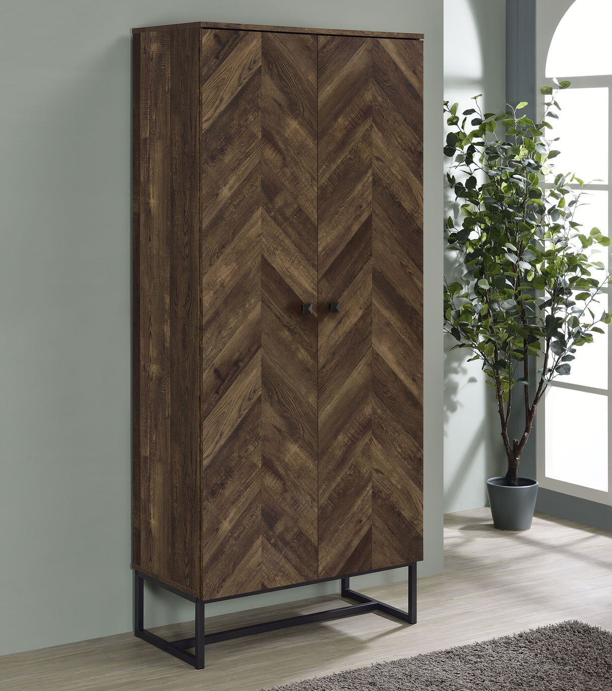 Carolyn 2-Door Accent Cabinet in Rustic Oak Finish