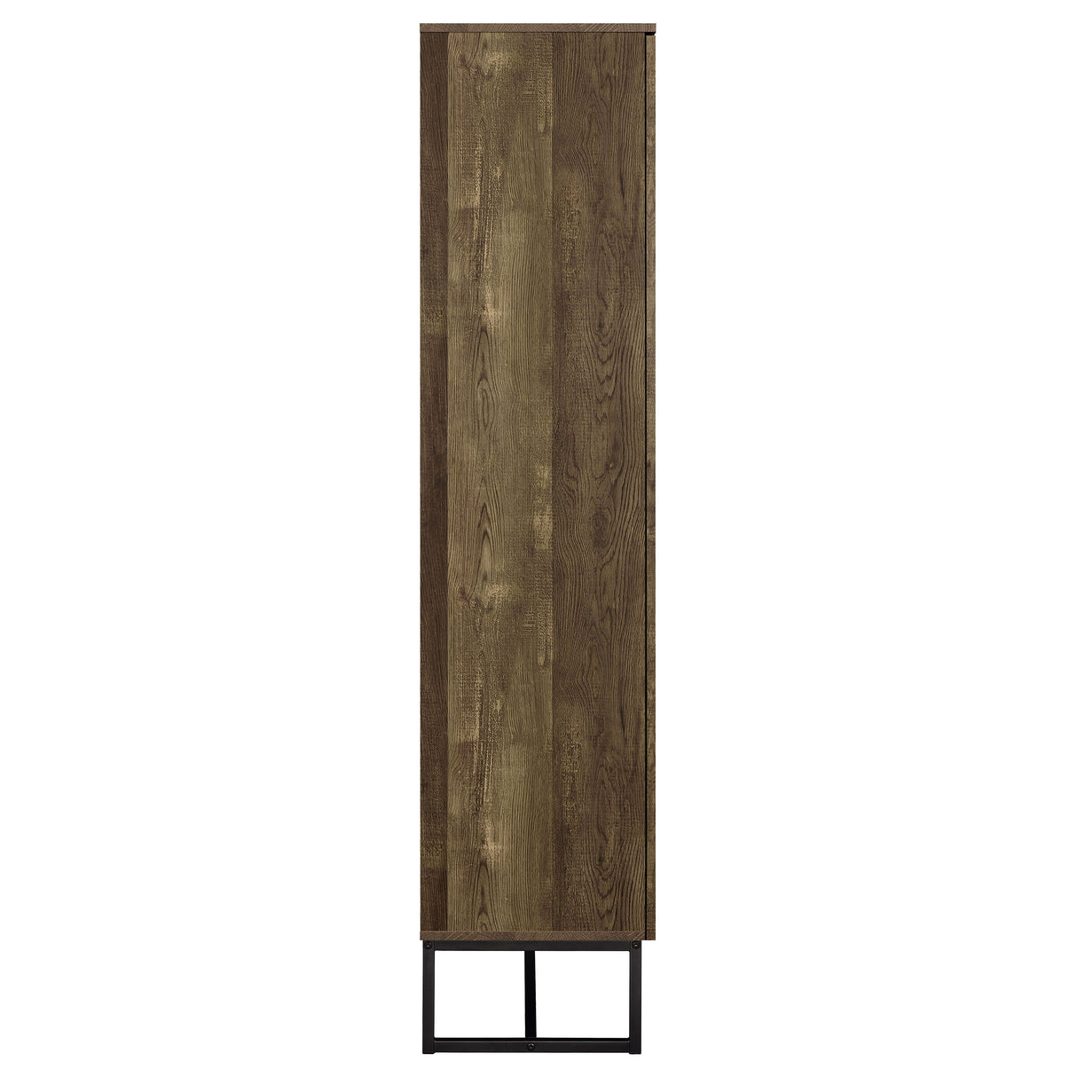Carolyn 2-Door Accent Cabinet in Rustic Oak Finish