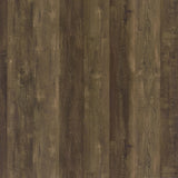 Carolyn 2-Door Accent Cabinet in Rustic Oak Finish