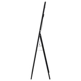 Windrose 28x67 LED Standing Floor Mirror in Black