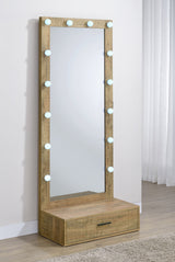 Spector Lighted Full-Length Floor Mirror with Drawer, Mango