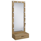 Spector Lighted Full-Length Floor Mirror with Drawer, Mango