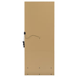 Spector Lighted Full-Length Floor Mirror with Drawer, Mango