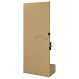 Spector Lighted Full-Length Floor Mirror with Drawer, Mango