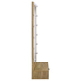 Spector Lighted Full-Length Floor Mirror with Drawer, Mango