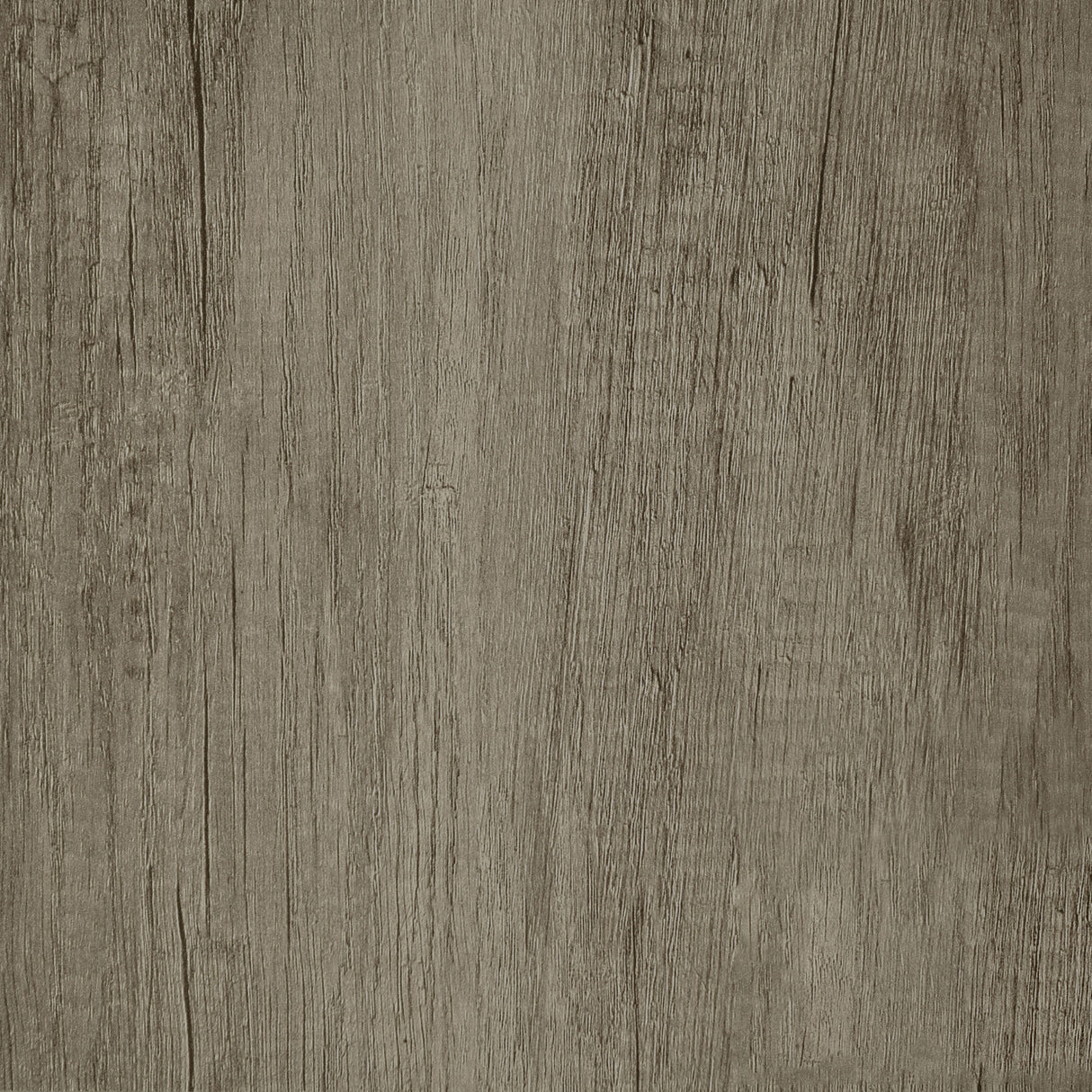 Deepika 4-Panel Folding Room Divider in Grey Driftwood