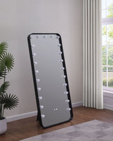 Canton 32x71 LED Standing Mirror with Bluetooth Speaker, Black