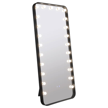 Canton 32x71 LED Standing Mirror with Bluetooth Speaker, Black