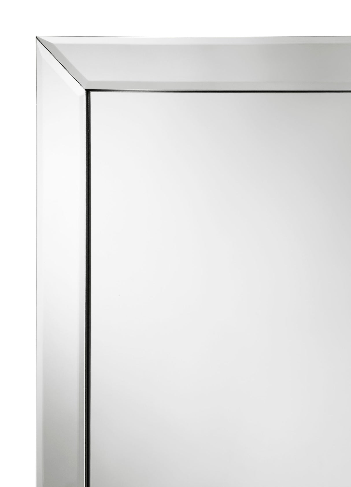 Soline Silver Framed Full-Length Standing Floor Mirror, 22x61"