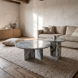 Elegant Coffee Duo Table Set