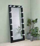 Zayan 32x71 Floor Mirror with LED Lighting, Black High Gloss